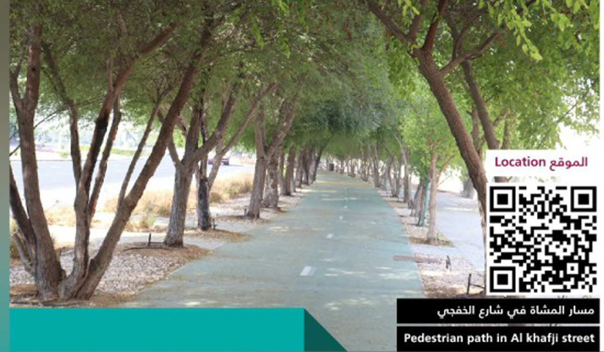 Four pedestrian paths lined with trees to help reduce temperature